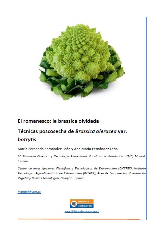 El romanesco: la brassica olvidada